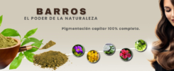 BARROS PIGMENTACION CAPILAR 100% VEGETAL Y ORGANICA MURCIANA BEAUTY SALON CARAVACA SALON DE BELLEZA